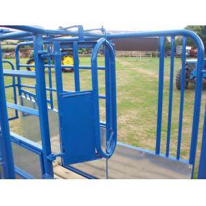 Australia standard galvanized cattle panel fence Cattle Crush,Cattle Chute