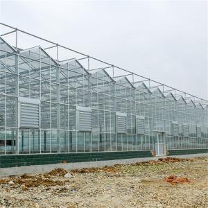 Multi-Span Greenhouse Duble Plate Glass Galvanized Greenhouse Structure Glass