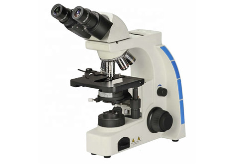 40X 1000X Trinocular Phase Contrast Microscope Bright Field Light WF10X/20mm