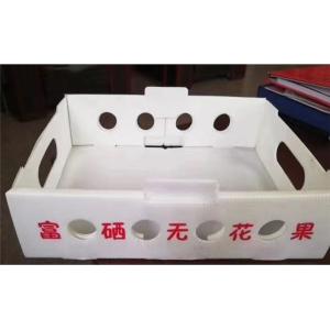 PE Hollow Board Extrusion line PE Lattice Board Production Machine Twin Screw