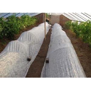 Environmentally Friendly PP Nonwoven Fabric Degradable For Agricultural
