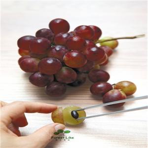 New Type,High Efficient and Delicated Grape Seed Extract