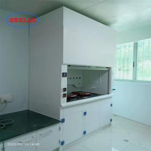 Integrated Structure Laboratory Fume Cupboard Alkali Resistant