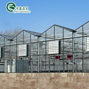 Vegetable Fruits Flowers Tomatoes Greenhouse with Inside and Outside Shading