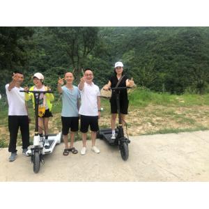 25km/H Electric Balance Scooter