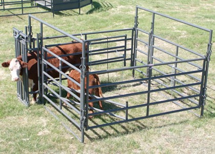 Buy Long Lasting Powder Coating Heavy Duty Cattle Panel 1.8m X 2.1m at wholesale prices