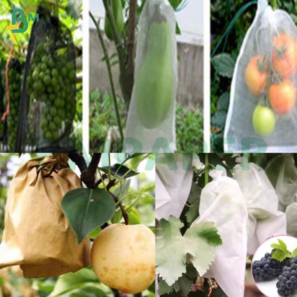 100% Wood Pulp Protective Covering Fruit Bag Paper for guava in White 100% Wood Pulp Protective Covering Fruit Bag Paper for guava in White
