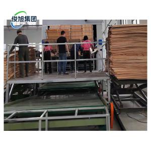Heavy Industry Fully Automatic Veneer Wood Wall Panel Sheet Desiccation