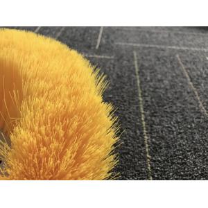 PV Module Solar Panel Cleaning Brush Washer 3.5m 5.4m 7.2m