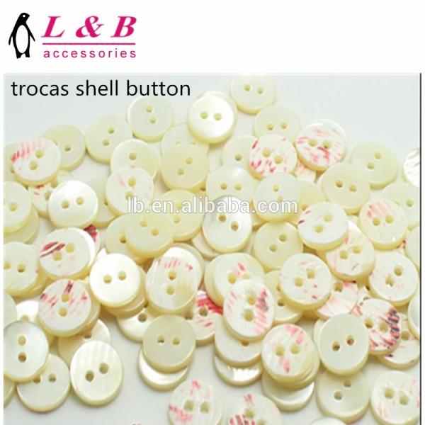 2021 New popular abalone ayoya river MOP shell button