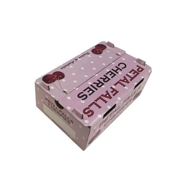 Fruit And Vegetable Disposable Picnic Box Of Shipping By Air