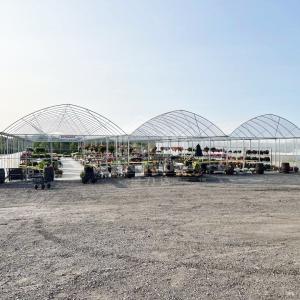 Year Round Nursery Hothouse Automated Dome Modular Multispan Tunnel Greenhouse