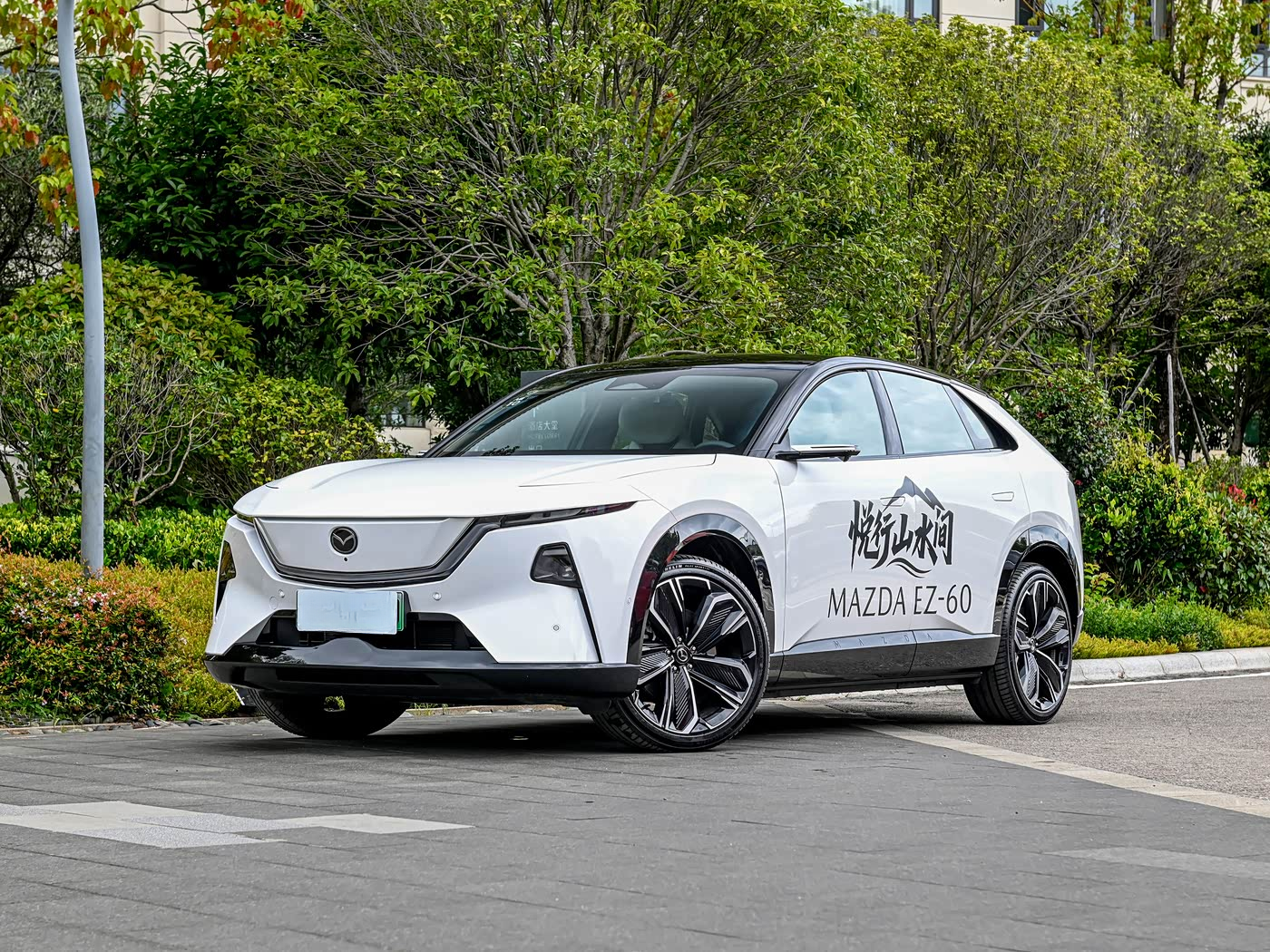 Popular Used Cars Basic Parameters for 1.71L/100km Electric Energy Equivalent