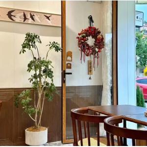 DesertStar Observatory Folding Window Designed for Low Thermal Distortion in