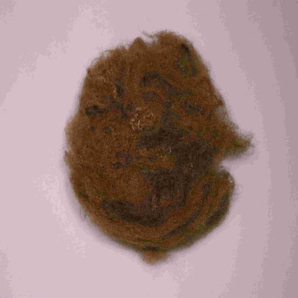 Buy Camel 65mm Recycled Polyester Man Made Fibre Lightweight PSF Polyester at wholesale prices