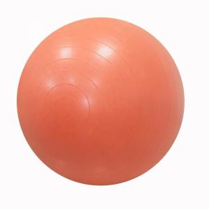 55 Cm Odorless Heavy Duty Fitness Ball Explosionproof Durable