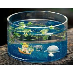 hand blow glass terrarium glass fish tank Hydroponics container