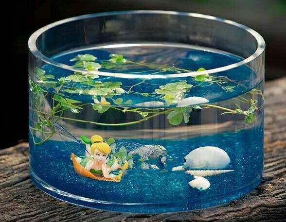 Buy hand blow glass terrarium glass fish tank Hydroponics container at wholesale prices