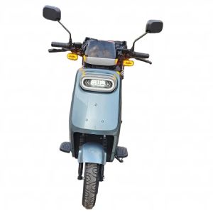 LY-BD26Electric motorcycle Electric bicycle adult electric scooter