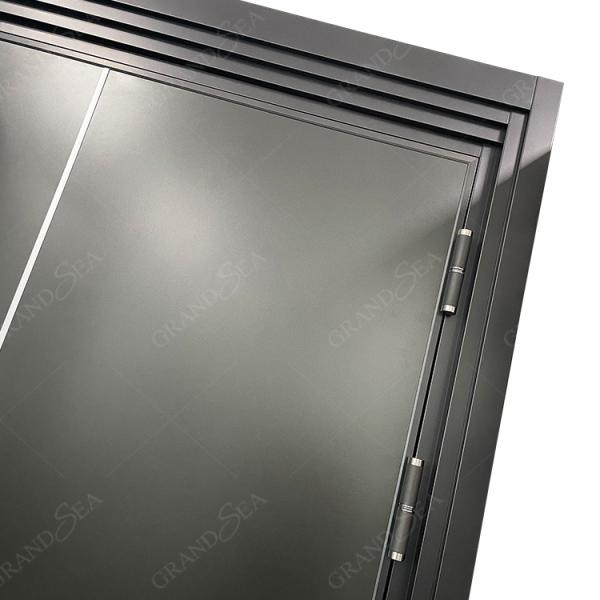 Modern Style High Quality Cast Steel Easy Pattern Power Coated Surface Swing Door for Villa