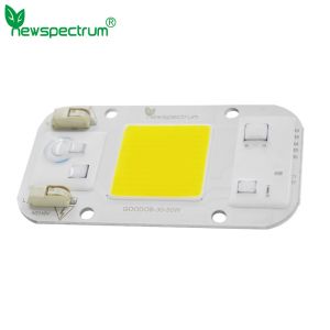 15W Led Module 6500k