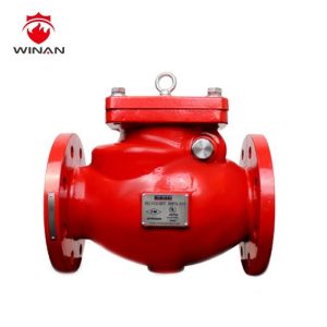 Cast Iron DN15-DN350 1.6MPa 300PSI Swing Check Valve
