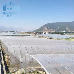 Quality Vegetables Multispan Poly Tunnel Greenhouse With Cooling Ventilation System for sale