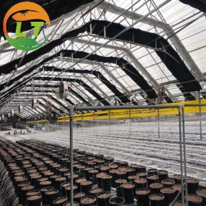 Film Covered Mushroom Cultured Greenhouse for Mushroom Cultivation and Easy