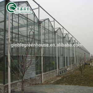 Vegetable Fruits Flowers Tomatoes Greenhouse with Inside and Outside Shading
