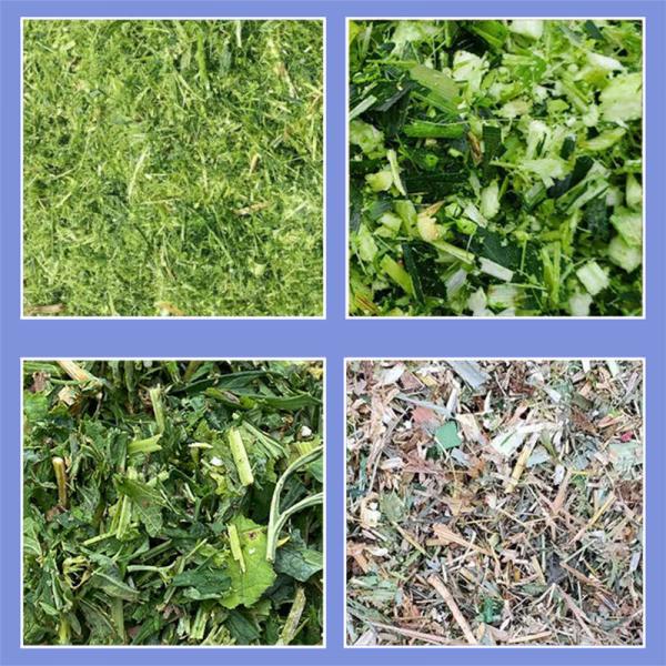 Straw Chaff Cutter For Dairy Farm Poultry Feed Cow Feed Machine Fodder Cutting Machine