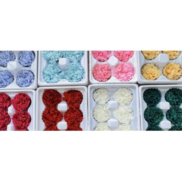 Eternal Carnation Flower Heads, 8 Pieces DIY Materials Wholesale, Premium Gift for Mother's Day, Rose Dried Flower Bouquet