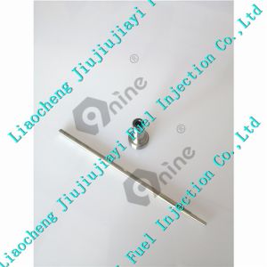 0445120054 Diesel Injectior Parts Valve Set F00RJ01278 F 00R J01 278
