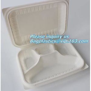 Disposable Plastic Takeaway Meal Tray, Corn starch blister packaging tray,