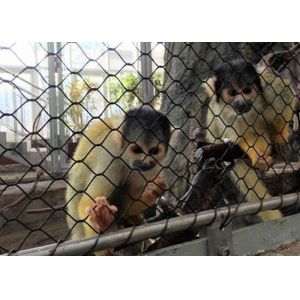 304L 3.0mm 150x150mm Stainless Steel Rope Mesh