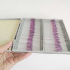 College Students Glass 132pcs ODM Plant Microscope Slides