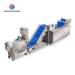 Fruit and vegetable cutting, hoisting and washing production line Fruit