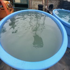 Customized 2mm Septic Tank Forming Mould for Application