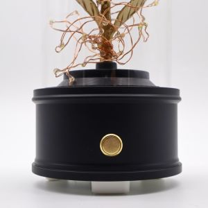 Eternal Handmade Design Preserved Rose Glass Dome With Bluetooth Speaker