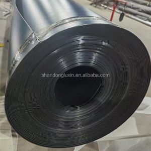 Onsite Inspection HDPE Geomembrane Pond Liner Membrane Waterproof Film Sheet 0