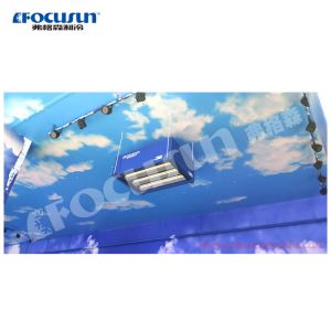 Compressor Copeland Focusun Scenery Indoor 600 kg / 24 hrs Snow Falling Machine