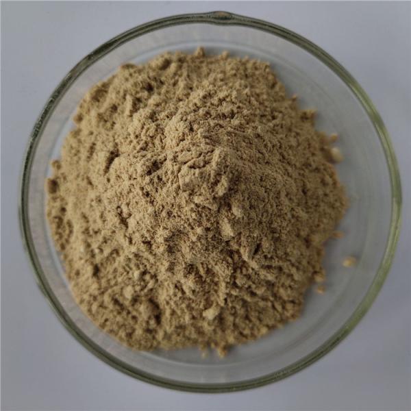 Buy Chinese Dodder Seed Extract For Tonifying Kidney at wholesale prices