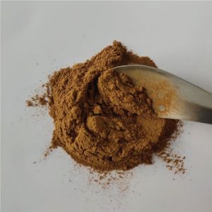 Medicine Grade Purslane Extract For Detoxification