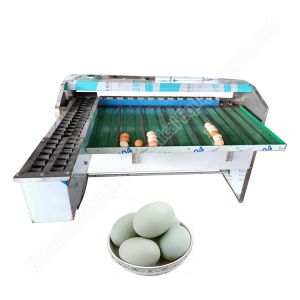Quality Chicken Egg Grader Egg Grading Machine Egg Grader Farm Use Egg Sorting Machine for sale
