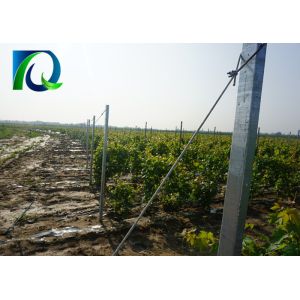 70x40MM HDG Vineyard Trellis End Posts Orchard Poles With Matched Accessories