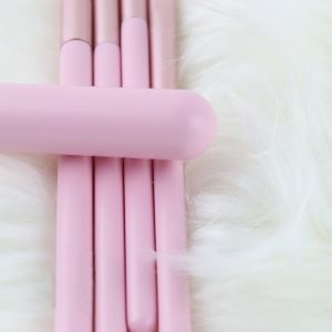 Synthetic Hair 5pcs Portable Travel Cosmetic Brushes Full Face