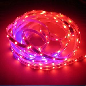 WS2801 digital strip 32LEDs/m 32 Image Pixel dream led strip