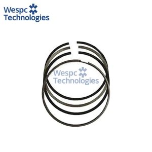 WESPC 4181A009 piston ring kit for Perkins A4.248 and 4.248 LF diesel engines