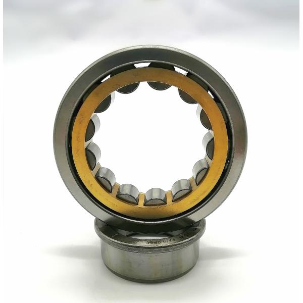 Chrome Steel GCr15 55x120x29mm NJ311E Cylindrical Roller Bearing