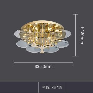 Modern Glass Industrial Retro Household Lamp Living Room chandelier ceiling