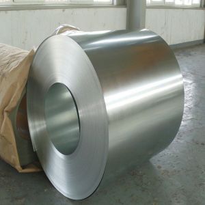 Food Grade 316 Stainless Steel Coil Hairline Brushed Finished